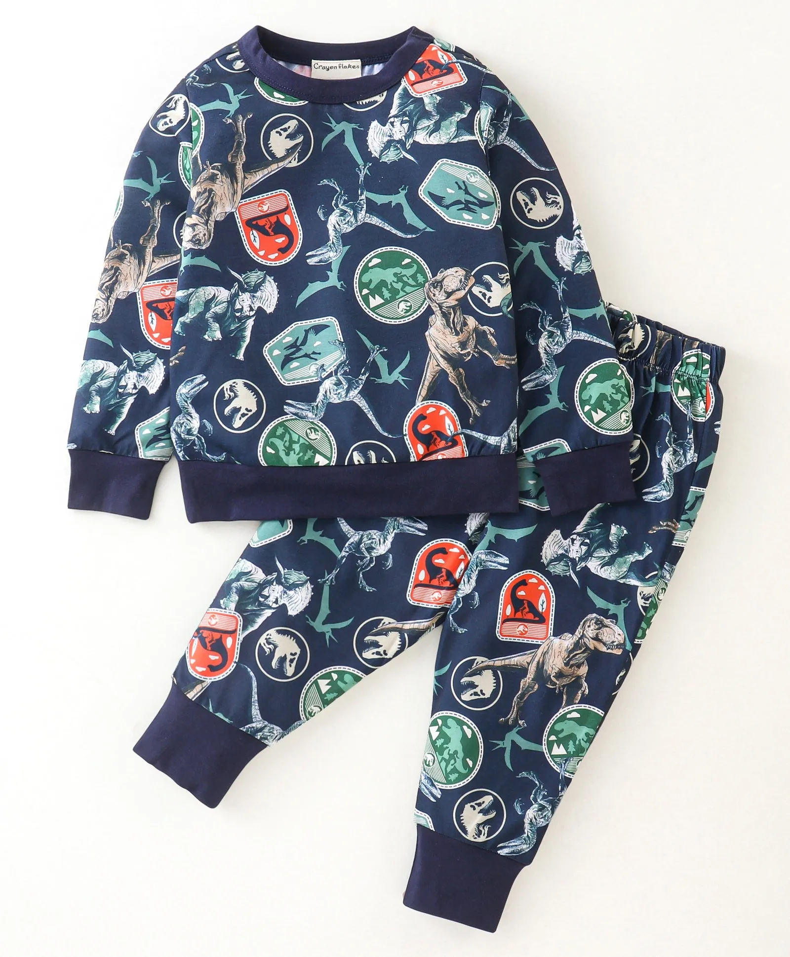 Dinosaur Printed Sweatshirt Jogger Set