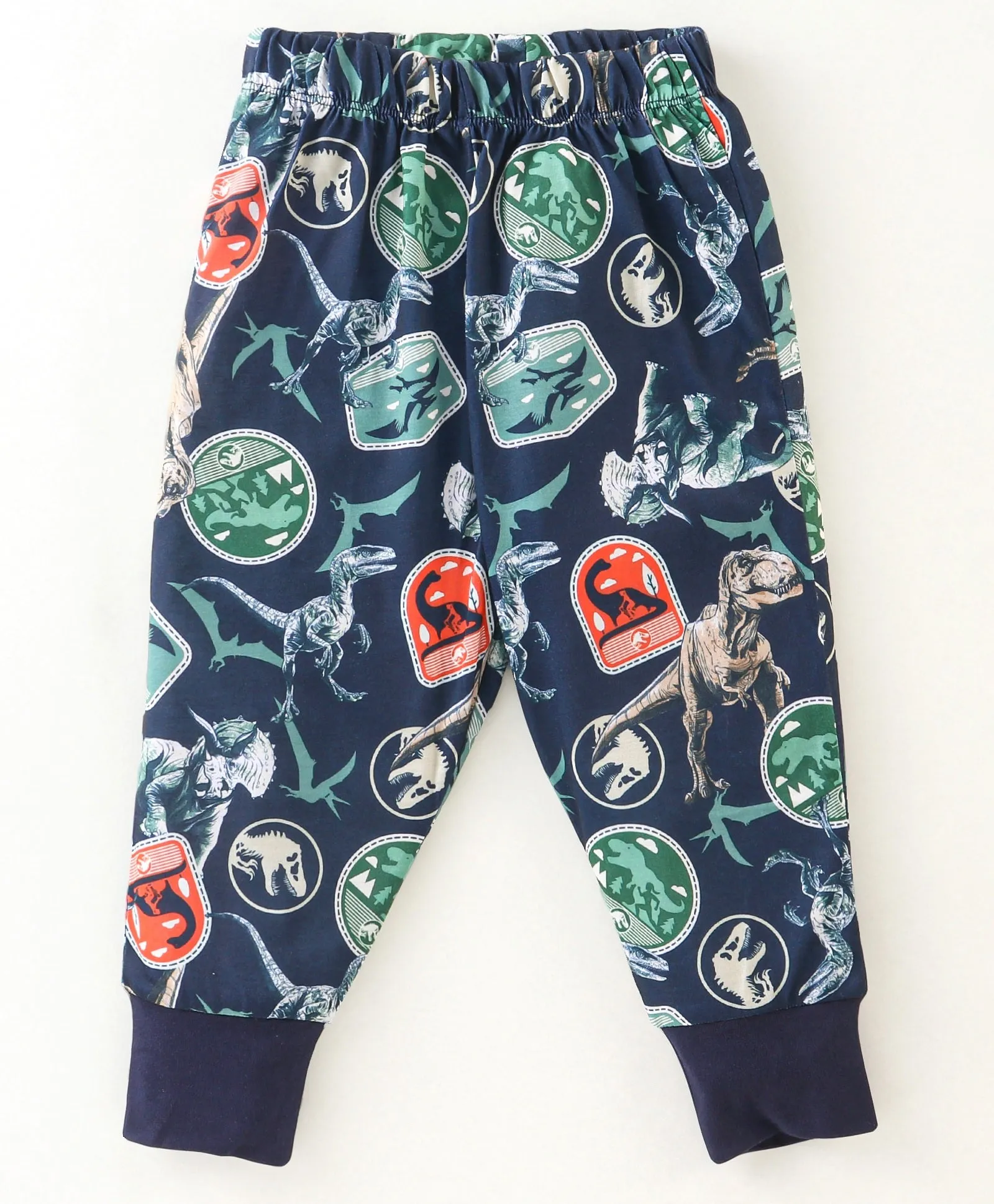 Dinosaur Printed Sweatshirt Jogger Set