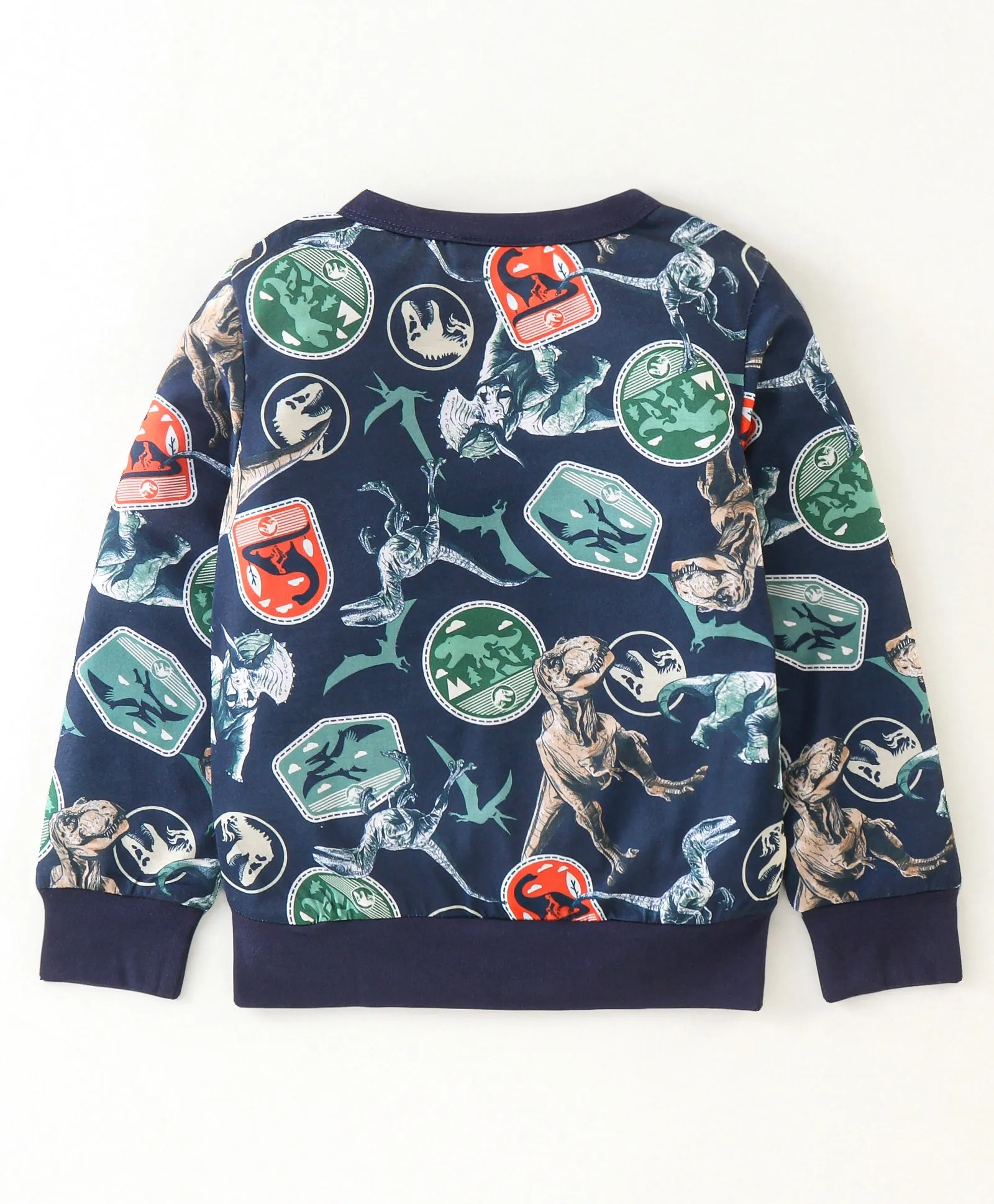 Dinosaur Printed Sweatshirt Jogger Set