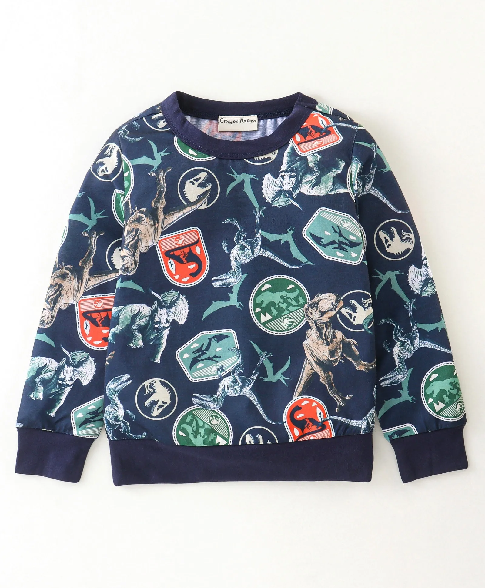 Dinosaur Printed Sweatshirt Jogger Set