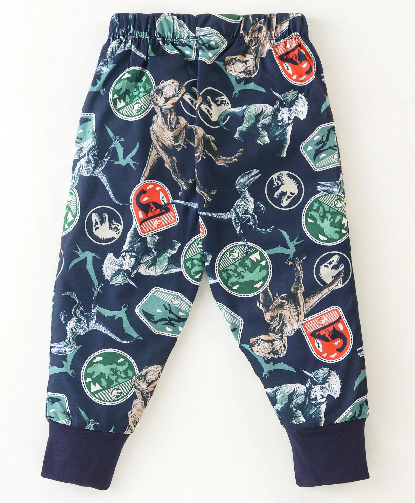 Dinosaur Printed Sweatshirt Jogger Set