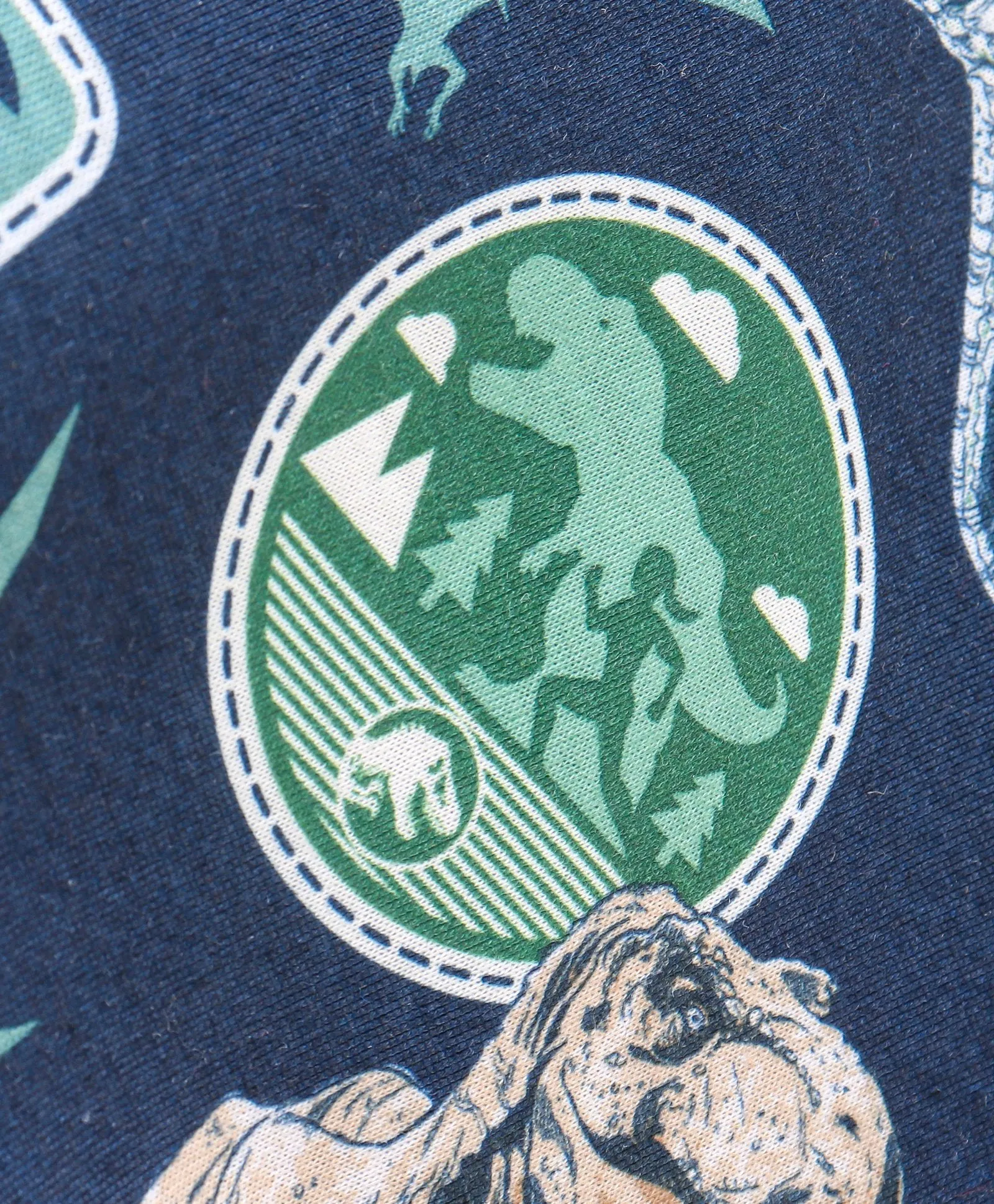 Dinosaur Printed Sweatshirt Jogger Set