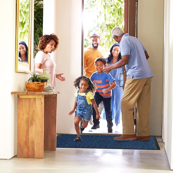 Fixtures Barrier Doorway Door Floor Mat 60cm x 120cm Blue