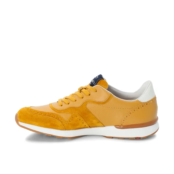 LLOYD / ANTERO - Trainers