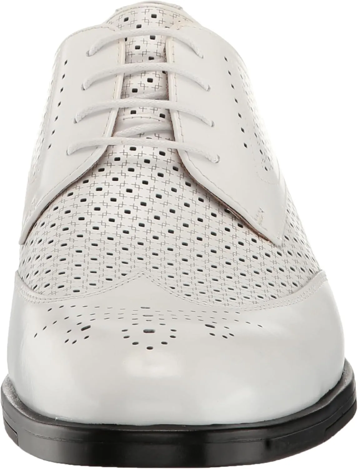 STACY ADAMS Men's Asher Wingtip Lace Oxford
