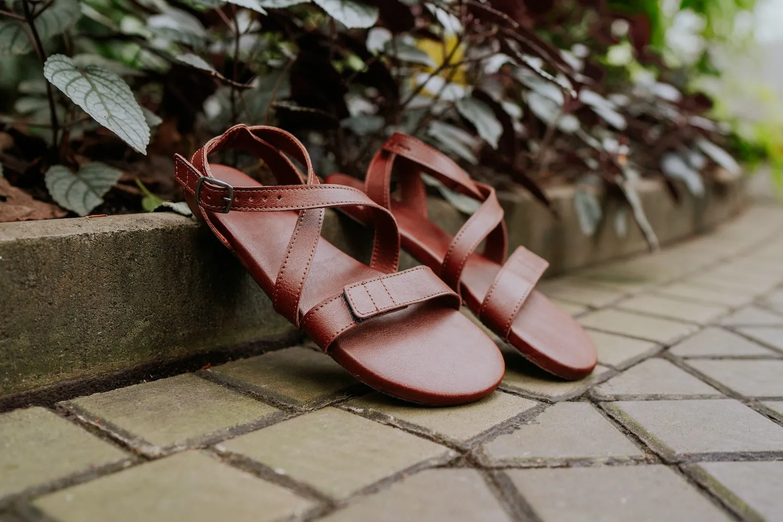 Women's Hava 2.0 Comfort sandals brown