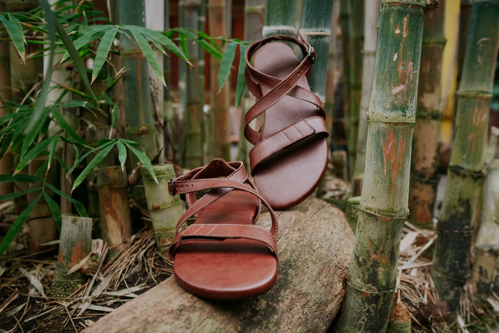 Women's Hava 2.0 Comfort sandals brown