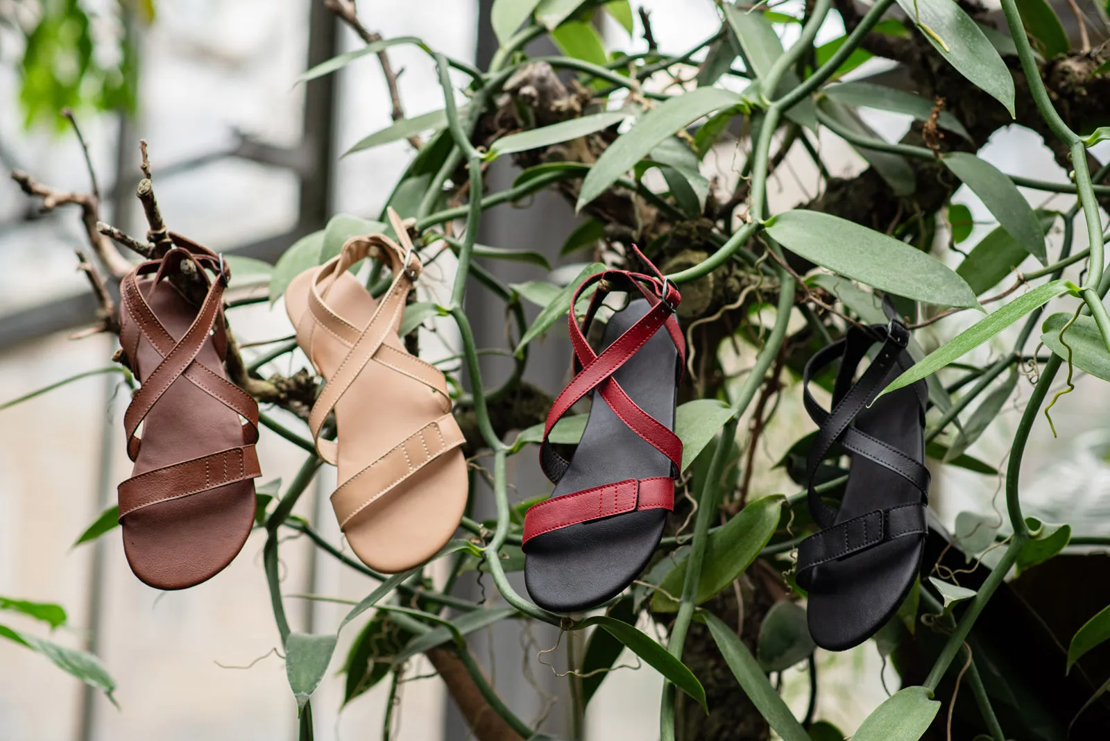 Women's Hava 2.0 Comfort sandals brown